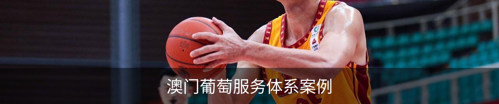 澳门葡萄服务体系案例